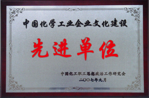 中国化学工业乐鱼入口建设先进单位
